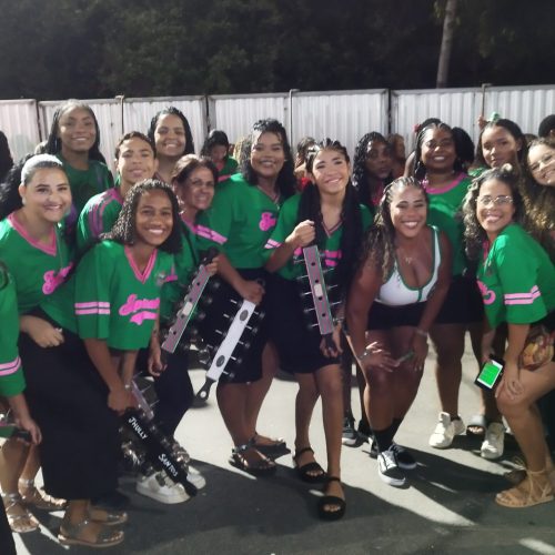 IMPERATRIZ DO FORTE FEZ O SEU ENSAIO TÉCNICO NO SAMBÃO DO POVO EM 10/02/2026