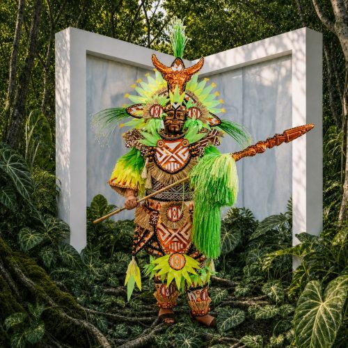 BEIJA-FLOR DE NILÓPOLIS DISPONIBILIZA FANTASIAS PARA O RIO CARNAVAL 2027